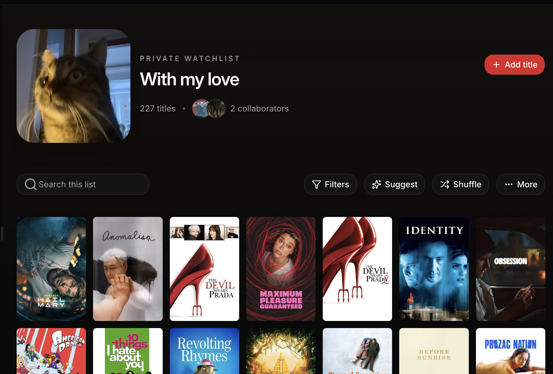 An example shared watchlist in Watch and Chill